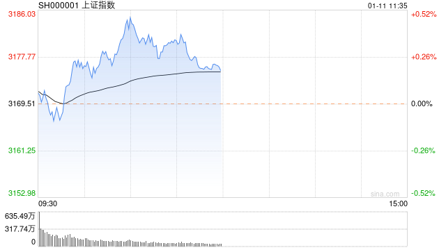 快讯：指数延续分化沪指涨0.3% 三胎概念股异动拉升